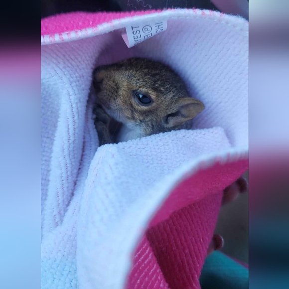 LIVE NOW ! - Picture 8 of 17